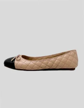 ALDO Braylynn Ballerina Flats - 6.5 US