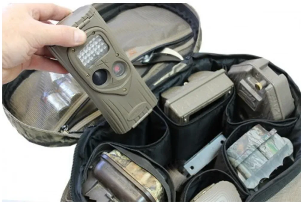 Horn Hunter Camera Hog